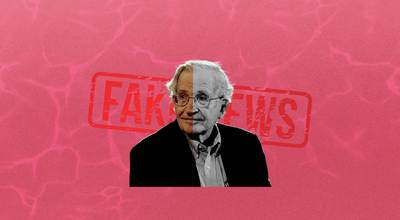 Il Chomsky di Schrödinger